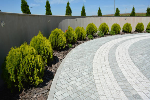 Best Driveway Paving Contractor  in Oregon, WI